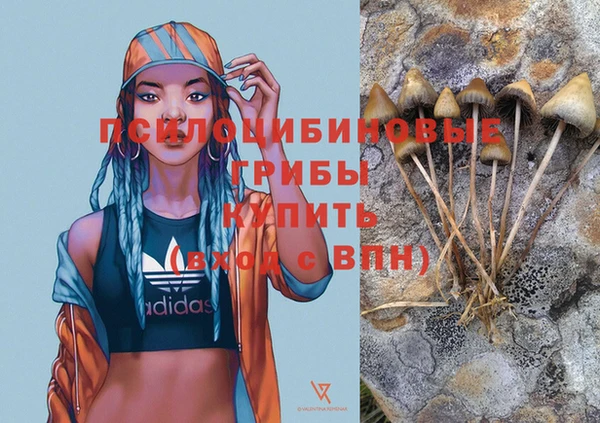 jwh Зеленокумск