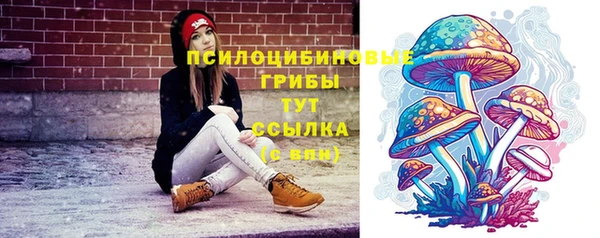 jwh Зеленокумск