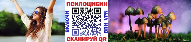 Галлюциногенные грибы MAGIC MUSHROOMS  Купить где  Верхняя Пышма 